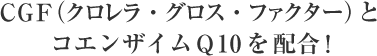 CGF（クロレラ・グロス・ファクター）とコエンザイムＱ10を配合！